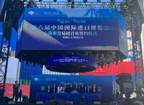 放眼世界，只有中国可以办进博会这样的展会——从丁一凡观点看软件代理服务的机遇与前景