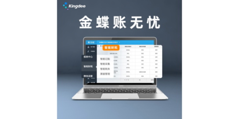 宝坻区体验金蝶账无忧，天诚时代代理服务卓越可靠